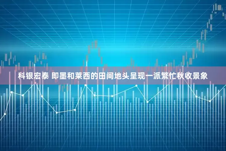 科银宏泰 即墨和莱西的田间地头呈现一派繁忙秋收景象