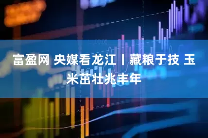 富盈网 央媒看龙江丨藏粮于技 玉米茁壮兆丰年