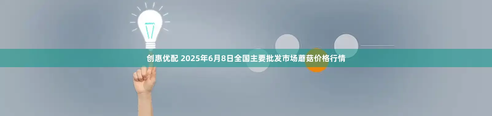 创惠优配 2025年6月8日全国主要批发市场蘑菇价格行情